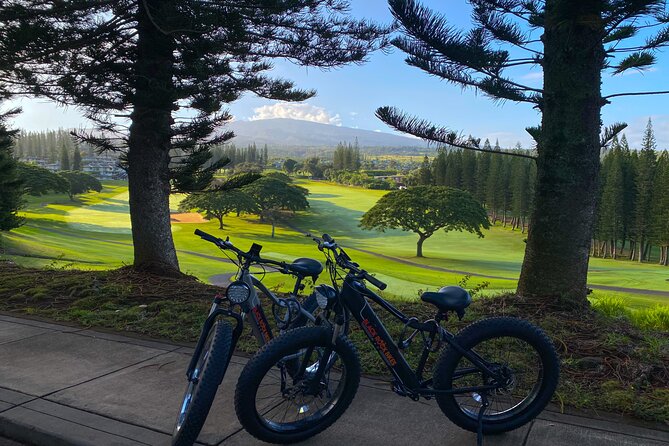 West Maui: Self-Guided E-Bike Kapalua Jungle Adventure Tour - Family rules, weight limits, and bike fit