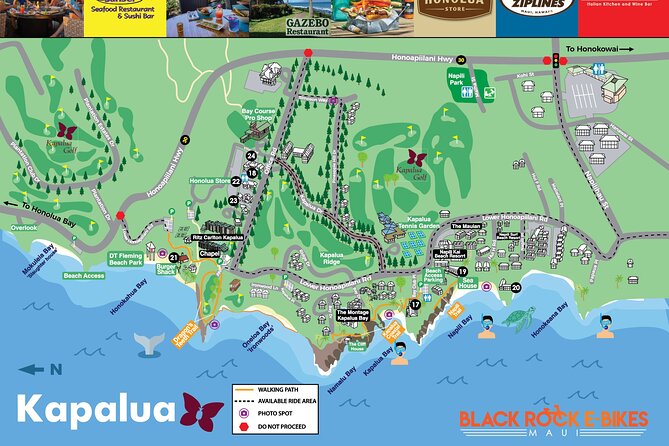 West Maui: Self-Guided E-Bike Kapalua Jungle Adventure Tour - Who will enjoy this West Maui ride most