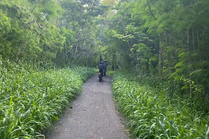 West Maui: Self-Guided E-Bike Kapalua Jungle Adventure Tour - Should you book it?