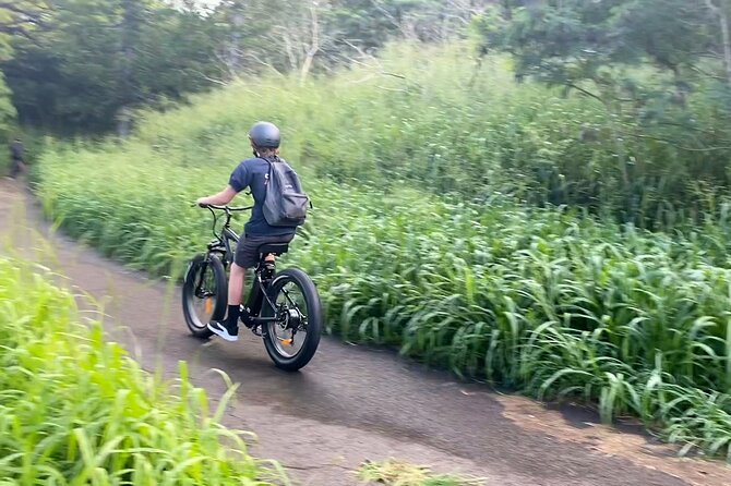 West Maui: Self-Guided E-Bike Kapalua Jungle Adventure Tour - Riding the coast, beaches, and open country