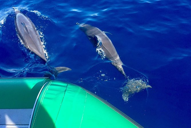 West Maui Snorkeling Experience by Boat from Ka'anapali - Key details at a glance