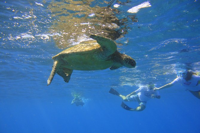 West Maui Snorkeling Experience by Boat from Ka'anapali - Leaving Kaanapali Beach at 9 a.m.
