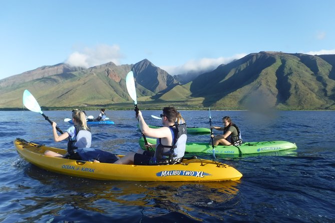 West Side Discovery Kayak & Snorkel Tour - Snorkeling above coral and sand channels