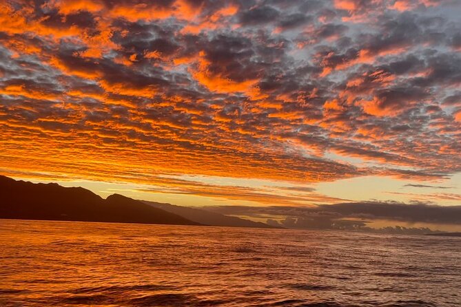 Whale Watch and Scenic Tour from Kayak - Pedaling along the West Maui coast