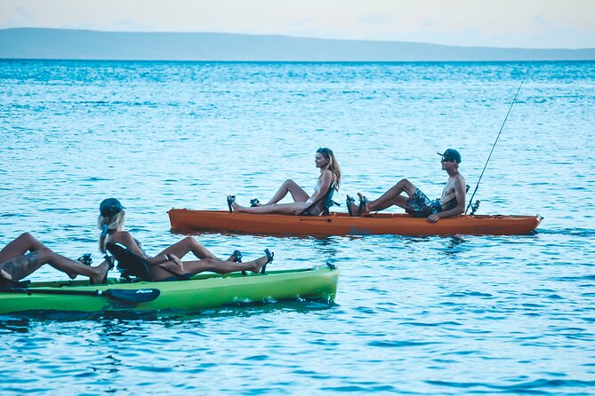 Whale Watch and Scenic Tour from Kayak - Guides who shape the experience