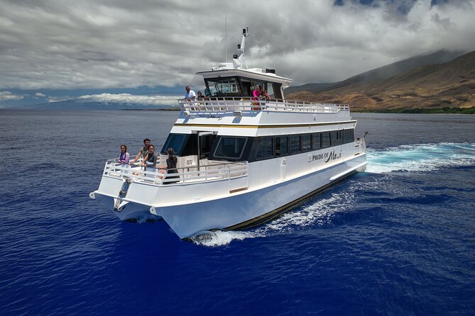 Whale Watch and Turtles Snorkel - Whale watching in Maui’s winter waters