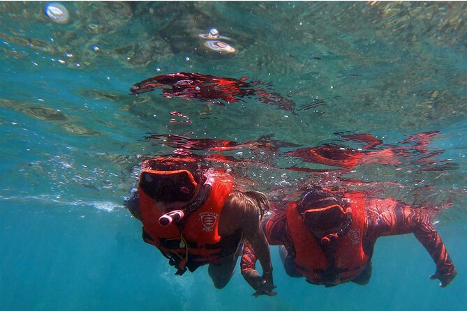 Whale Watch by Kayak-No Time Limit - What the $129 price includes
