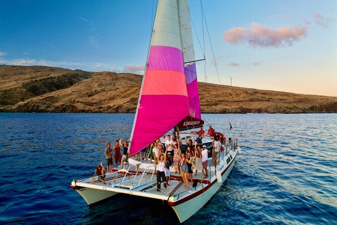 Whale Watching Tour on a Charming Hawaiian Catamaran From Maalaea - Hearing the whales through underwater hydrophones