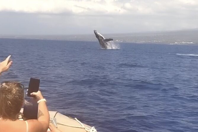 Whale Watching Tour on a Charming Hawaiian Catamaran From Maalaea - The first whale sightings near Maalaea