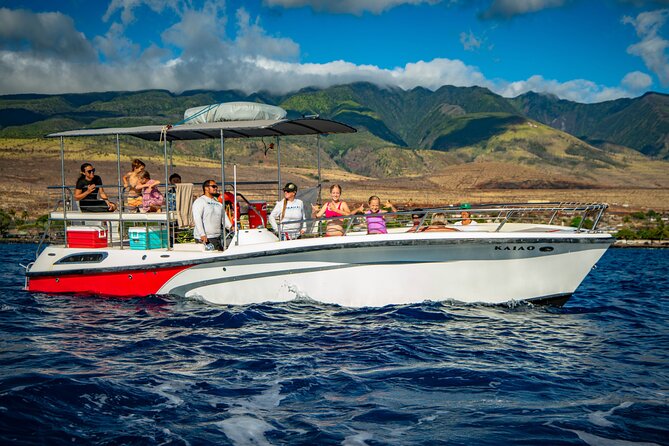 WHALES GUARANTEED Maui Whale Watching Makai Adventures - The crew turns sightings into a lesson