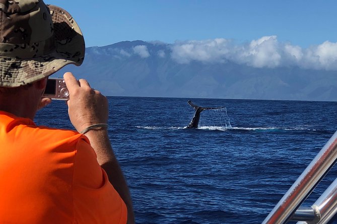 WHALES GUARANTEED Maui Whale Watching Makai Adventures - Comfort, motion, and weather on the water